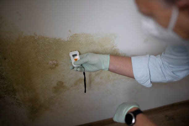 Best Mold Testing and Inspection Services in Crooked River Ranch, OR